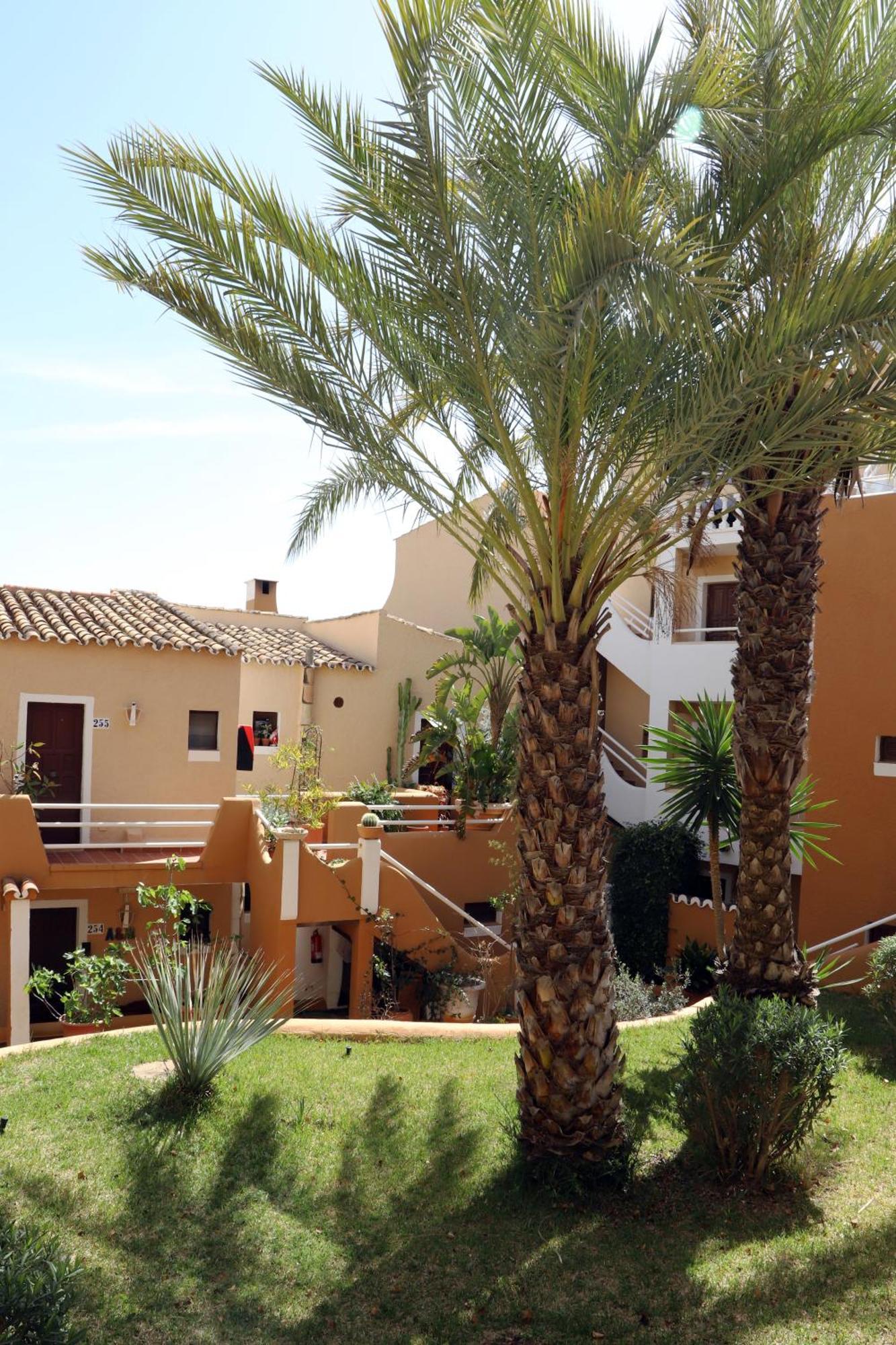 Aldea 2 Cala Fornells Apartment Peguera